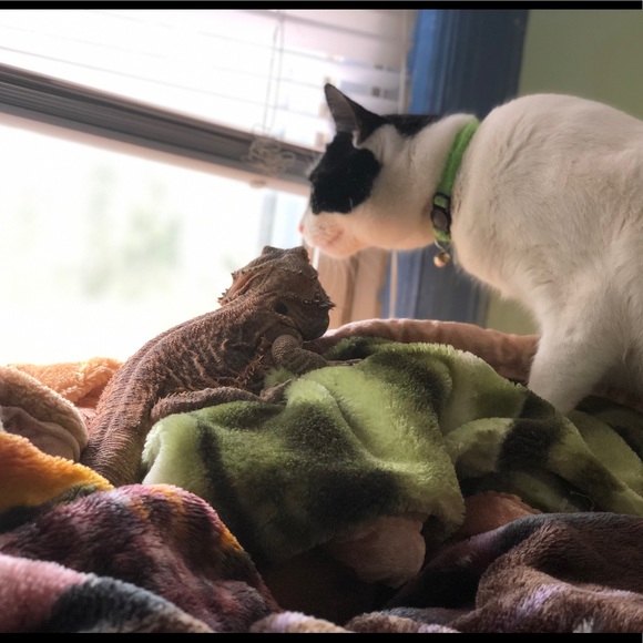 Meet your Posher, Joshua - Picture 4 of 5